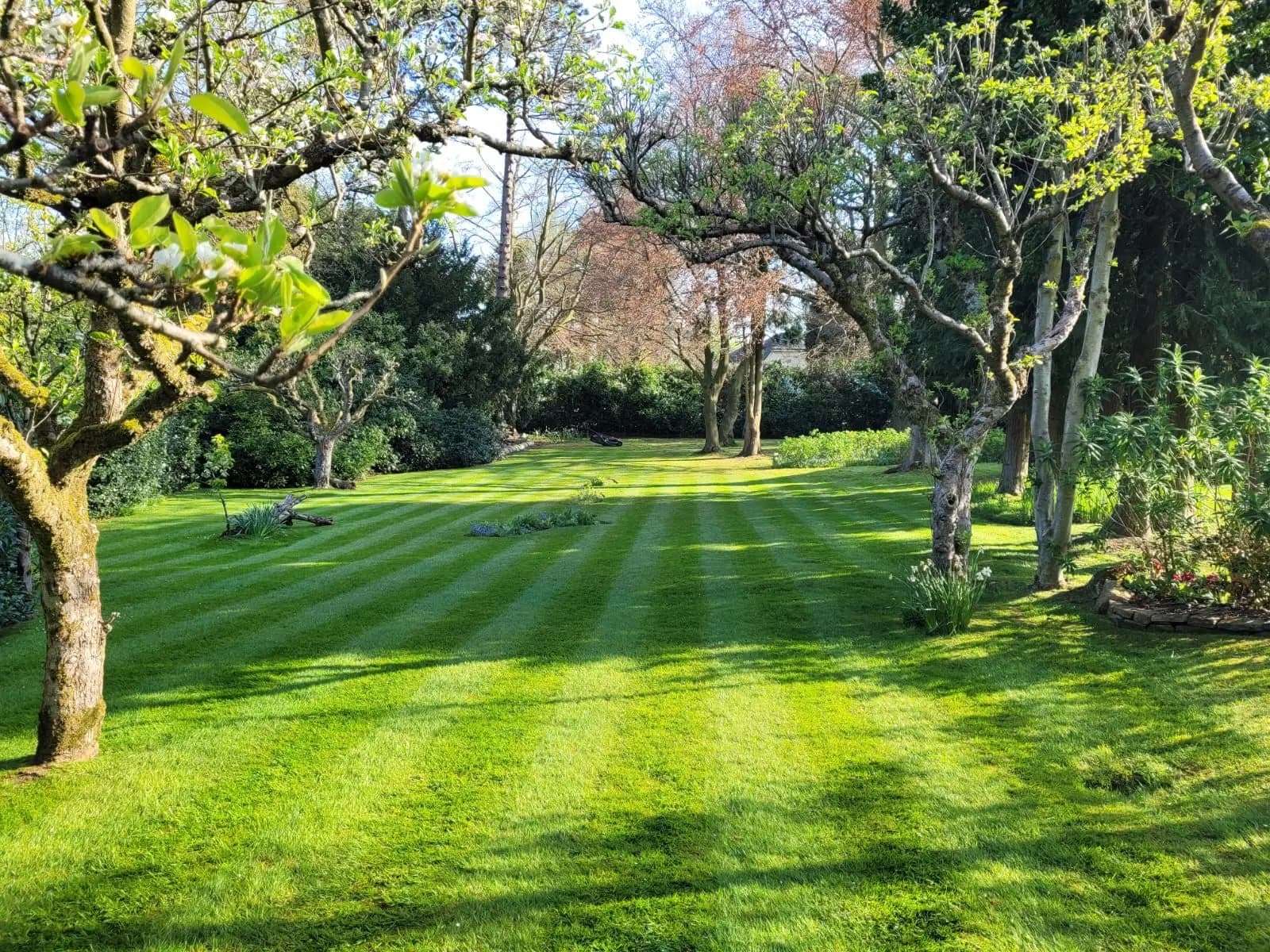 Garden services in Woodford